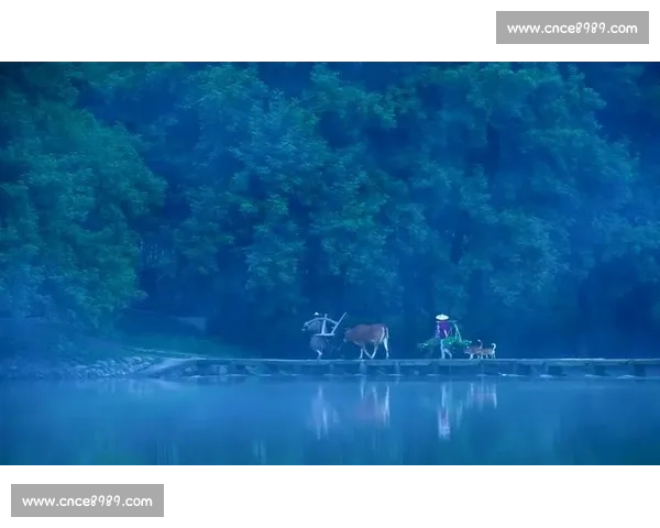 1200 人赴松阳之约:在江南秘境中定向穿行 1200 人赴松阳之约:在江南秘境中定向穿行